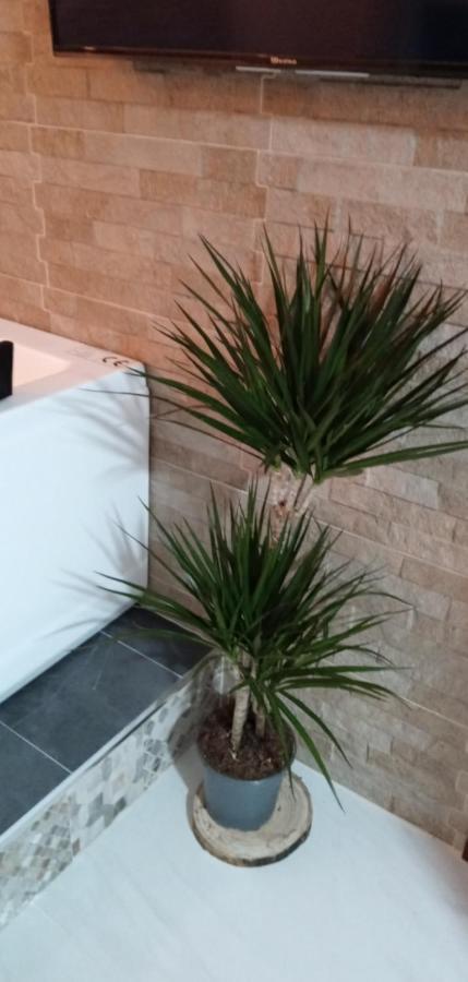 Estudio Jacuzzi Sol De Jerez Jerez de la Frontera Exterior foto
